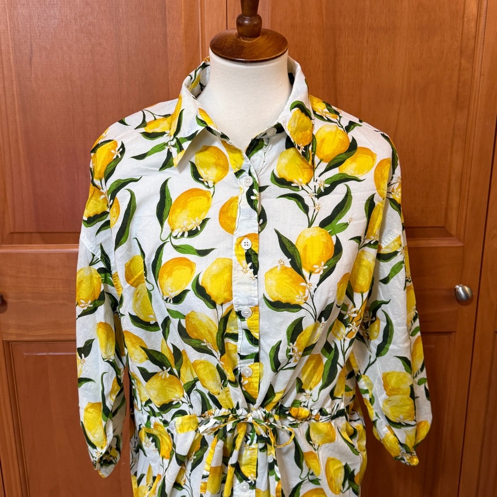 J Crew Cinch Waist Shirt Dress in Lemon Print Limoncello Voile Button-Up Dress - Picture 6 of 15